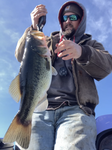 Lake Webster Fishing