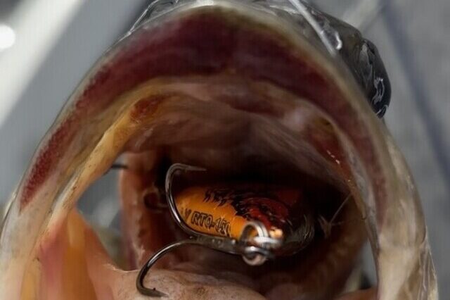 northeast bass fishing