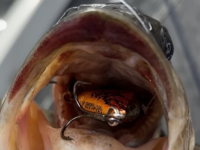 northeast bass fishing