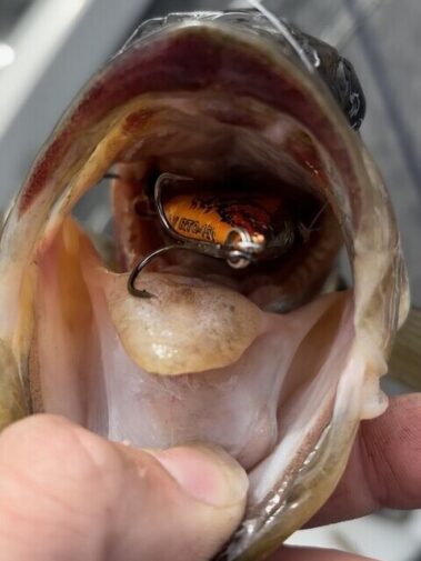 northeast bass fishing