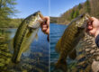 Northern Largemouth vs Smallmouth