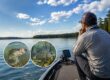 Bass Above the Thermocline